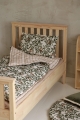 image00016.jpeg