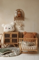 image00029.jpeg