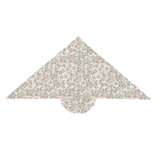 apricot natural.jpg