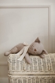 image00048.jpeg