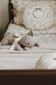image00058.jpeg